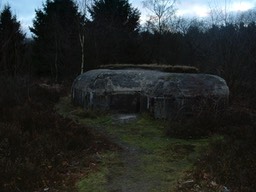 Bunker in bos bij Fort Ertbrand