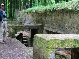 DSC00330